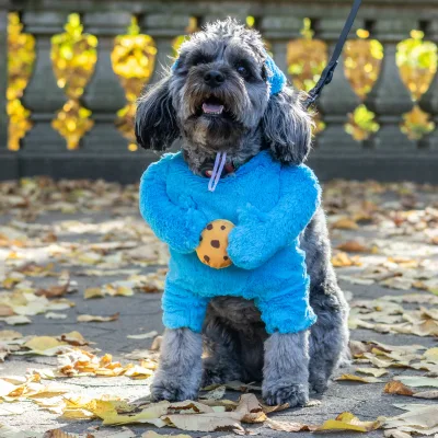オビツ11 スタジアムジャンパー オーダー依頼受付（Pet Services in 