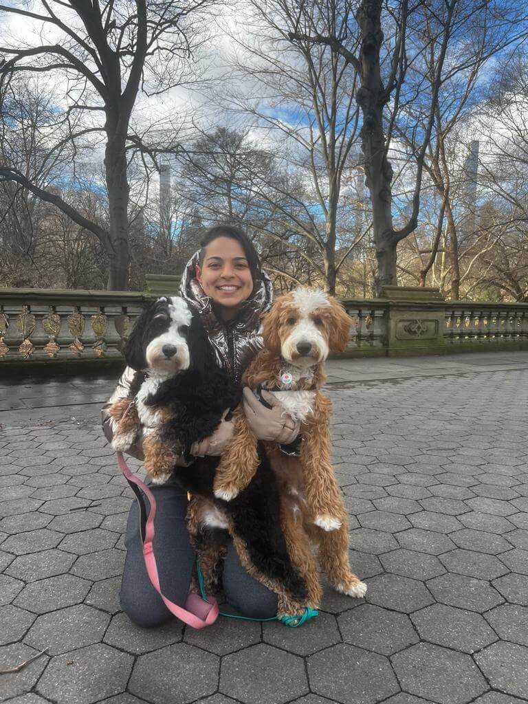 Choosing the Best Dog Walker in NYC: A Comprehensive Guide