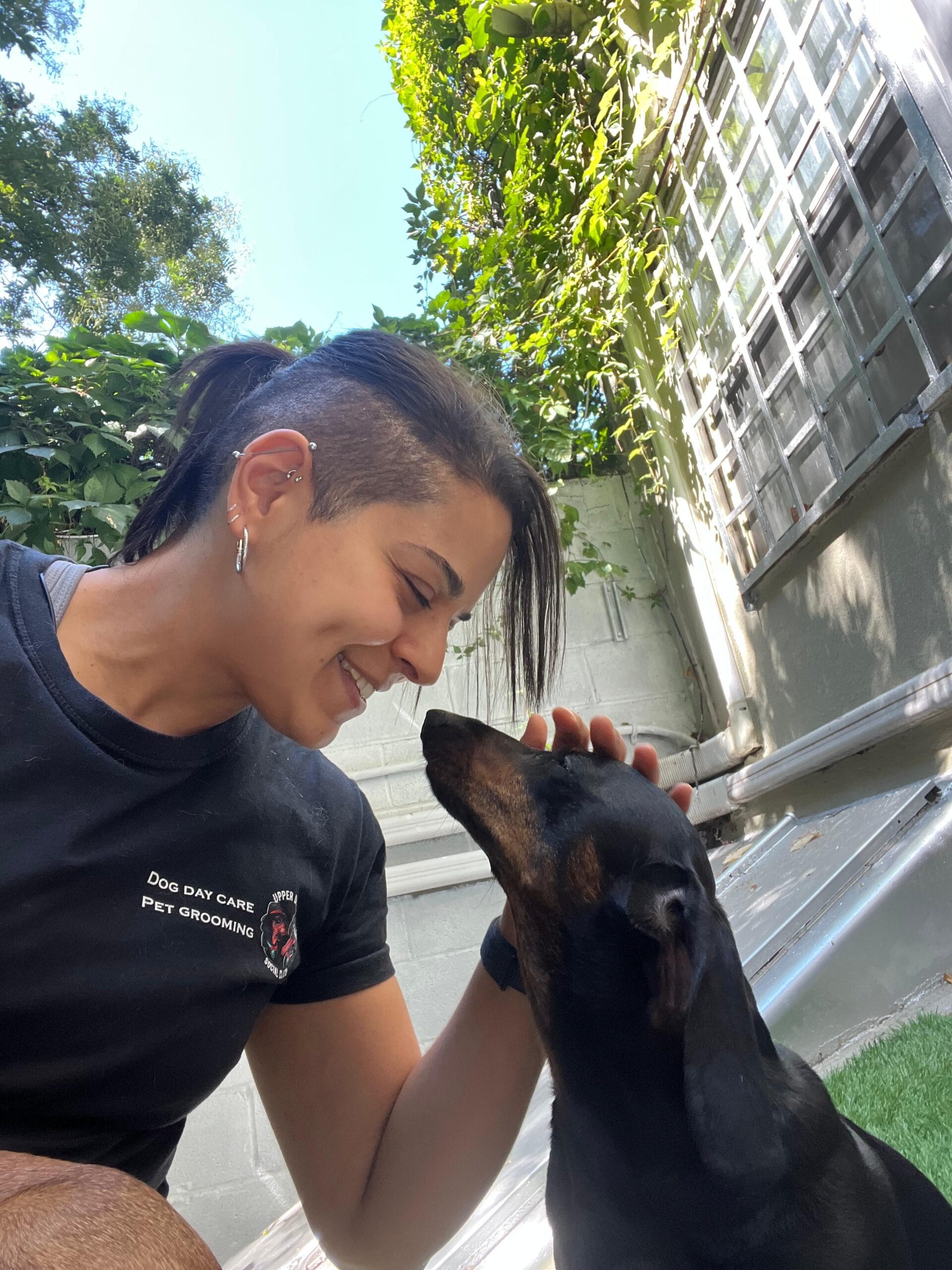 How to Keep Your Dog Engaged During Walks in the Upper East Side