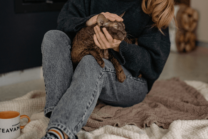 In-Home Cat Sitting in the Upper East Side: Benefits for Cats