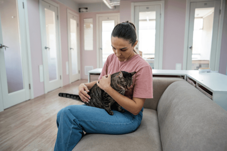 Overnight Cat Sitter in the Upper East Side When It’s Needed